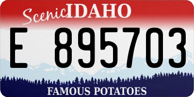 ID license plate E895703