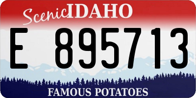 ID license plate E895713