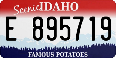 ID license plate E895719