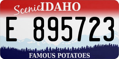 ID license plate E895723