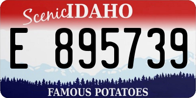 ID license plate E895739