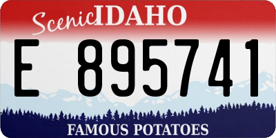 ID license plate E895741
