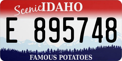 ID license plate E895748