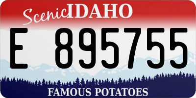 ID license plate E895755