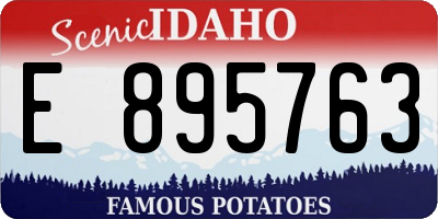 ID license plate E895763