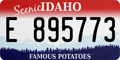 ID license plate E895773