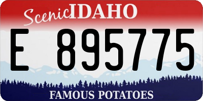 ID license plate E895775