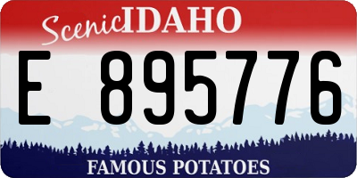 ID license plate E895776