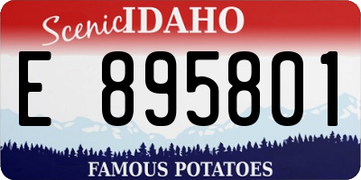ID license plate E895801