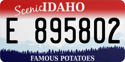 ID license plate E895802