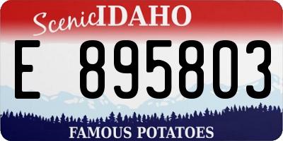 ID license plate E895803
