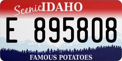 ID license plate E895808