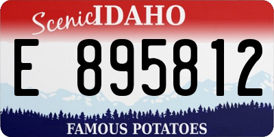 ID license plate E895812