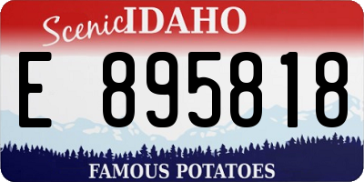 ID license plate E895818
