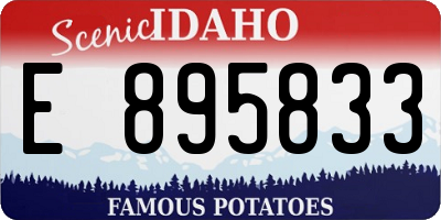 ID license plate E895833