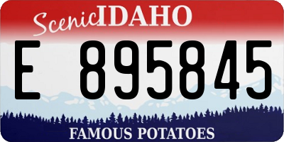 ID license plate E895845