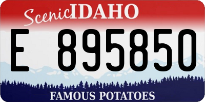 ID license plate E895850