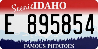 ID license plate E895854