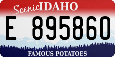 ID license plate E895860