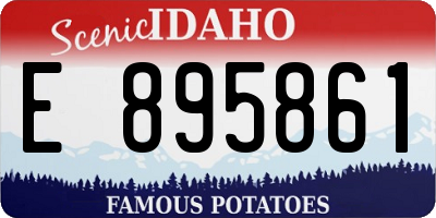 ID license plate E895861