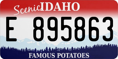 ID license plate E895863