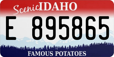 ID license plate E895865