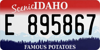 ID license plate E895867