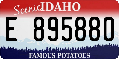 ID license plate E895880