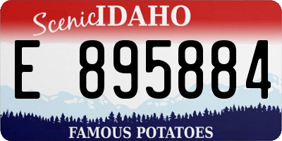 ID license plate E895884