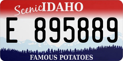 ID license plate E895889