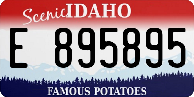 ID license plate E895895