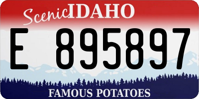 ID license plate E895897
