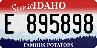 ID license plate E895898