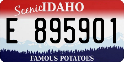 ID license plate E895901