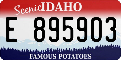 ID license plate E895903