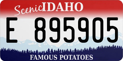 ID license plate E895905