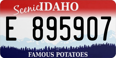 ID license plate E895907