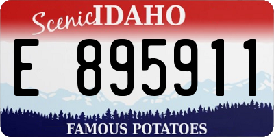 ID license plate E895911