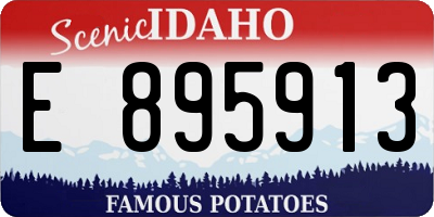 ID license plate E895913