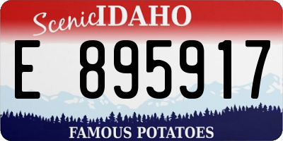 ID license plate E895917