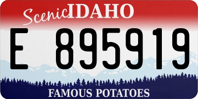 ID license plate E895919