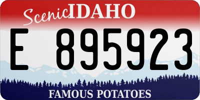 ID license plate E895923