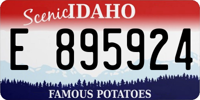 ID license plate E895924
