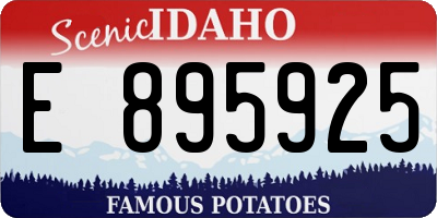 ID license plate E895925