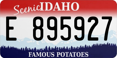 ID license plate E895927