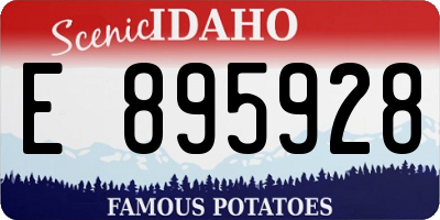 ID license plate E895928