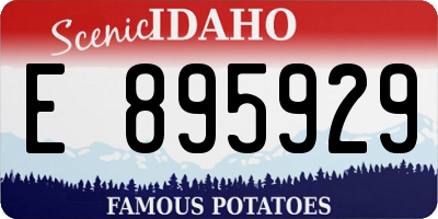 ID license plate E895929