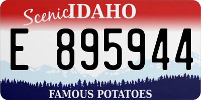 ID license plate E895944