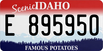 ID license plate E895950