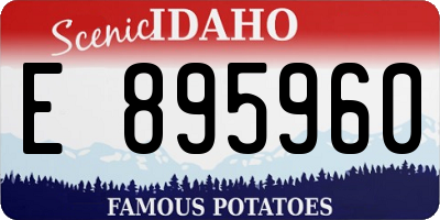 ID license plate E895960